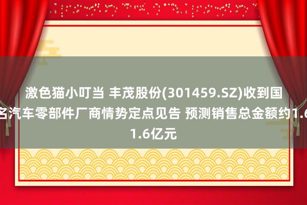 激色猫小叮当 丰茂股份(301459.SZ)收到国际驰名汽车零部件厂商情势定点见告 预测销售总金额约1.6亿元