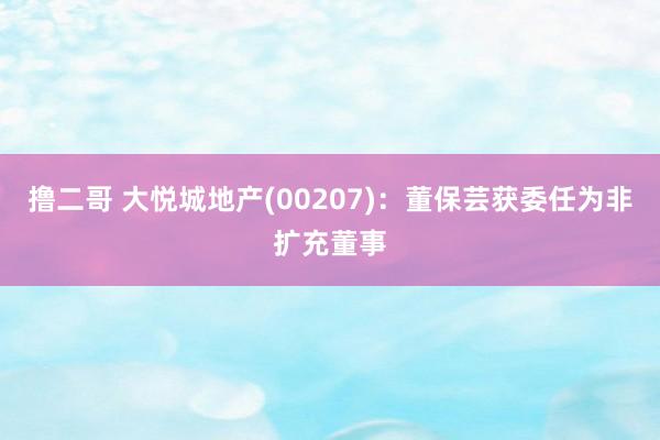 撸二哥 大悦城地产(00207)：董保芸获委任为非扩充董事