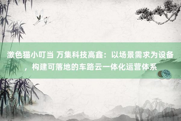 激色猫小叮当 万集科技高鑫：以场景需求为设备，构建可落地的车路云一体化运营体系