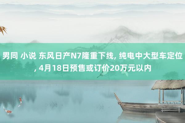 男同 小说 东风日产N7隆重下线， 纯电中大型车定位， 4月18日预售或订价20万元以内