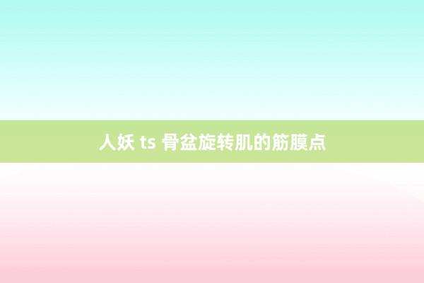 人妖 ts 骨盆旋转肌的筋膜点