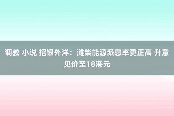 调教 小说 招银外洋：潍柴能源派息率更正高 升意见价至18港元