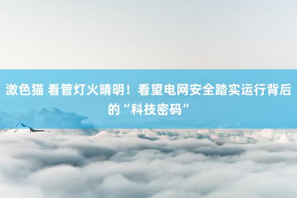 激色猫 看管灯火晴明！看望电网安全踏实运行背后的“科技密码”