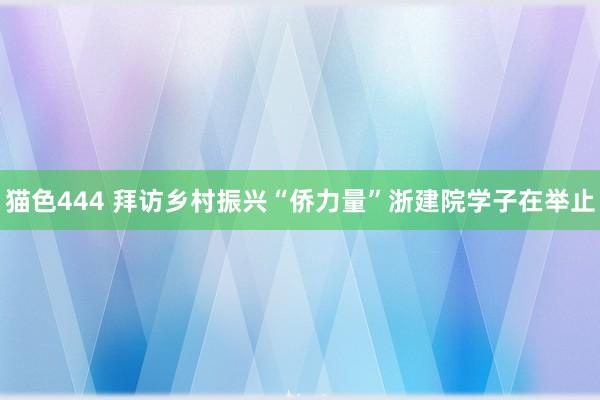猫色444 拜访乡村振兴“侨力量”浙建院学子在举止