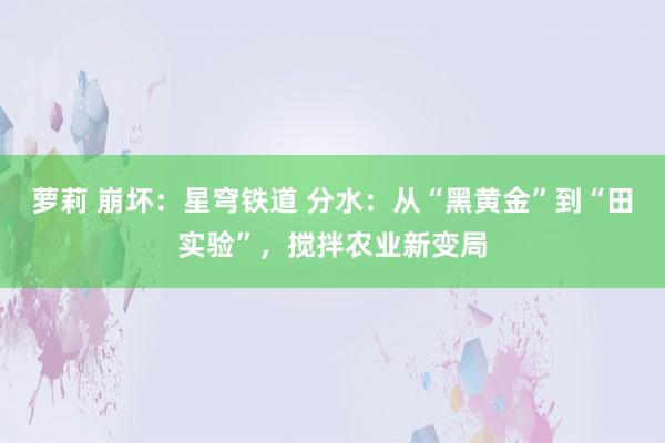 萝莉 崩坏：星穹铁道 分水：从“黑黄金”到“田实验”，搅拌农业新变局