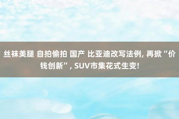 丝袜美腿 自拍偷拍 国产 比亚迪改写法例， 再掀“价钱创新”， SUV市集花式生变!