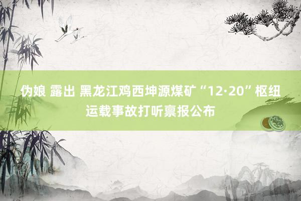 伪娘 露出 黑龙江鸡西坤源煤矿“12·20”枢纽运载事故打听禀报公布