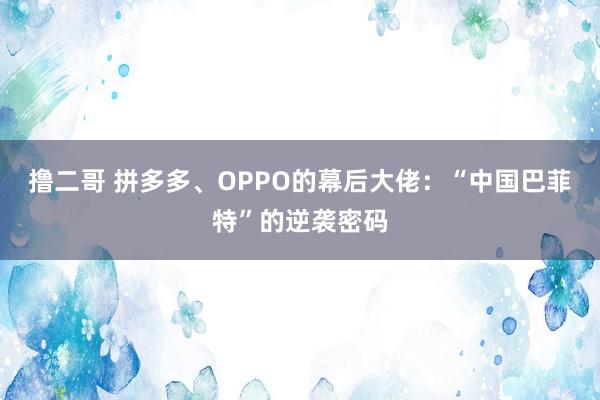 撸二哥 拼多多、OPPO的幕后大佬：“中国巴菲特”的逆袭密码