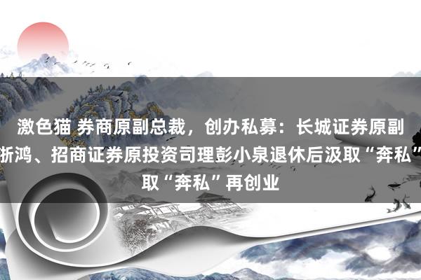 激色猫 券商原副总裁，创办私募：长城证券原副总裁徐浙鸿、招商证券原投资司理彭小泉退休后汲取“奔私”再创业