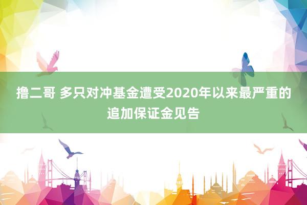 撸二哥 多只对冲基金遭受2020年以来最严重的追加保证金见告