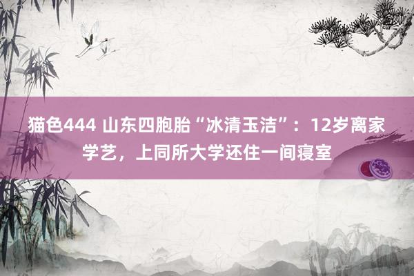 猫色444 山东四胞胎“冰清玉洁”：12岁离家学艺，上同所大学还住一间寝室