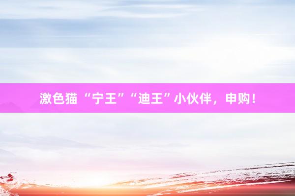 激色猫 “宁王”“迪王”小伙伴，申购！