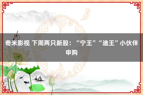 奇米影视 下周两只新股：“宁王”“迪王”小伙伴申购
