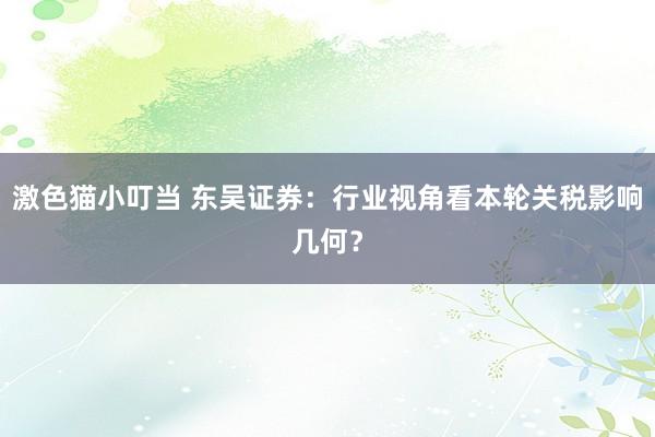 激色猫小叮当 东吴证券：行业视角看本轮关税影响几何？
