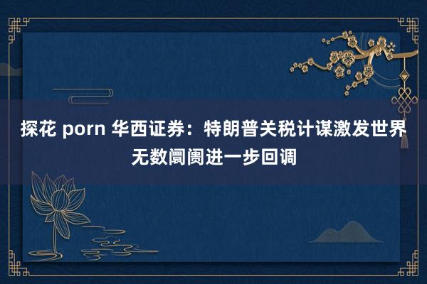 探花 porn 华西证券：特朗普关税计谋激发世界无数阛阓进一步回调