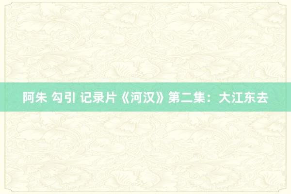 阿朱 勾引 记录片《河汉》第二集：大江东去
