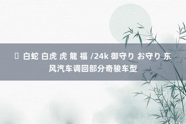 ✨白蛇 白虎 虎 龍 福 /24k 御守り お守り 东风汽车调回部分奇骏车型