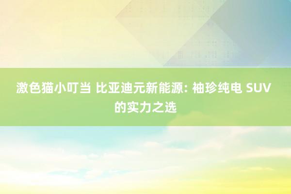 激色猫小叮当 比亚迪元新能源: 袖珍纯电 SUV 的实力之选
