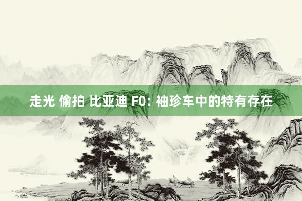 走光 偷拍 比亚迪 F0: 袖珍车中的特有存在