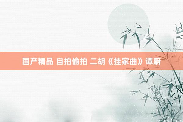 国产精品 自拍偷拍 二胡《挂家曲》谭蔚