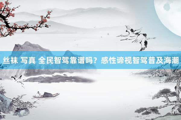 丝袜 写真 全民智驾靠谱吗？感性谛视智驾普及海潮