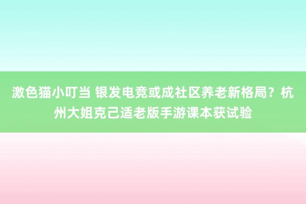 激色猫小叮当 银发电竞或成社区养老新格局？杭州大姐克己适老版手游课本获试验