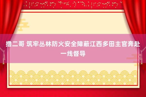 撸二哥 筑牢丛林防火安全障蔽江西多田主官奔赴一线督导