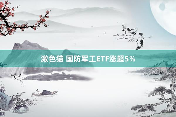 激色猫 国防军工ETF涨超5%