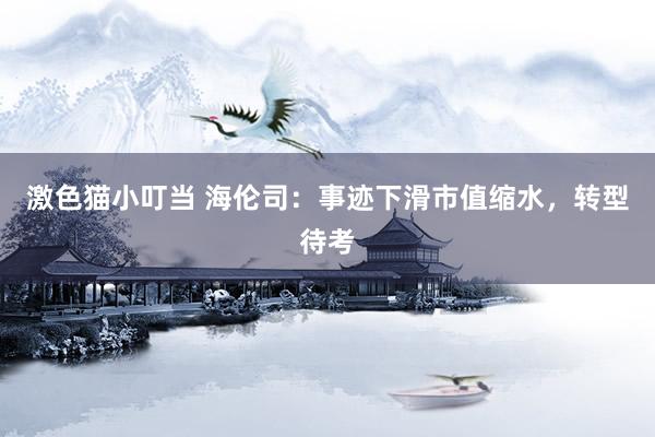 激色猫小叮当 海伦司：事迹下滑市值缩水，转型待考