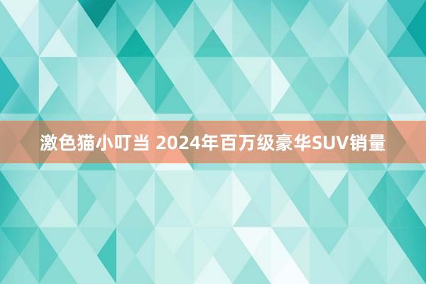 激色猫小叮当 2024年百万级豪华SUV销量