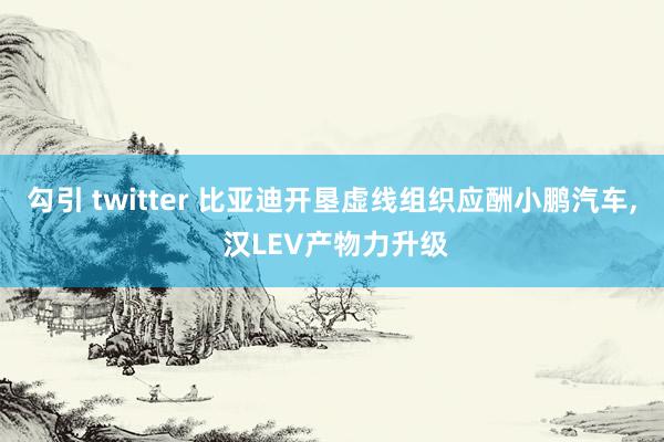 勾引 twitter 比亚迪开垦虚线组织应酬小鹏汽车， 汉LEV产物力升级