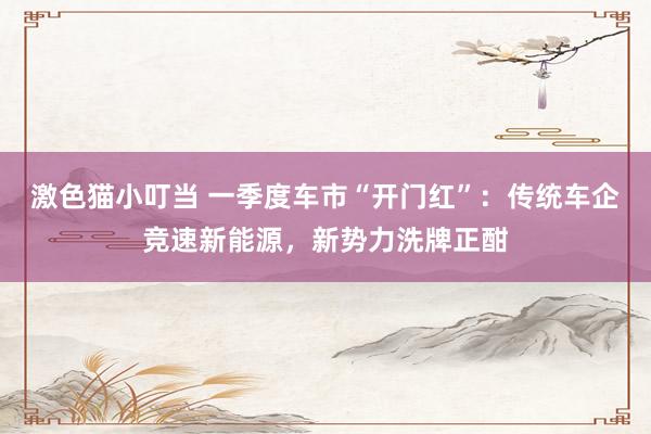 激色猫小叮当 一季度车市“开门红”：传统车企竞速新能源，新势力洗牌正酣