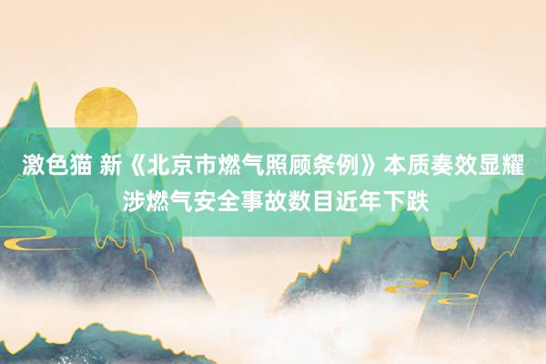 激色猫 新《北京市燃气照顾条例》本质奏效显耀 涉燃气安全事故数目近年下跌