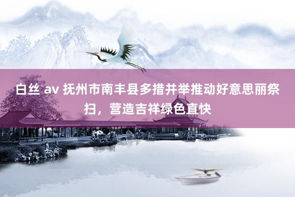 白丝 av 抚州市南丰县多措并举推动好意思丽祭扫，营造吉祥绿色直快