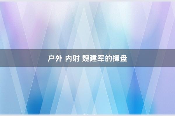户外 内射 魏建军的操盘