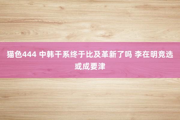 猫色444 中韩干系终于比及革新了吗 李在明竞选或成要津