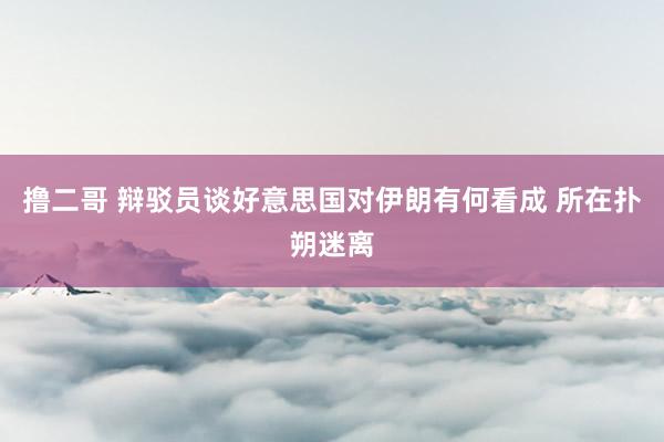 撸二哥 辩驳员谈好意思国对伊朗有何看成 所在扑朔迷离