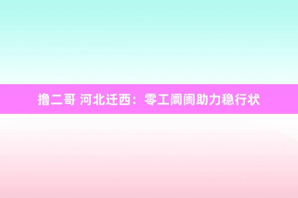 撸二哥 河北迁西：零工阛阓助力稳行状