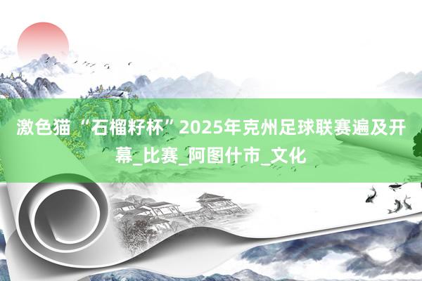 激色猫 “石榴籽杯”2025年克州足球联赛遍及开幕_比赛_阿图什市_文化