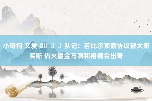 小母狗 文爱 👀队记：若比尔顶薪协议被太阳买断 热火掘金马刺和袼褙会出奇