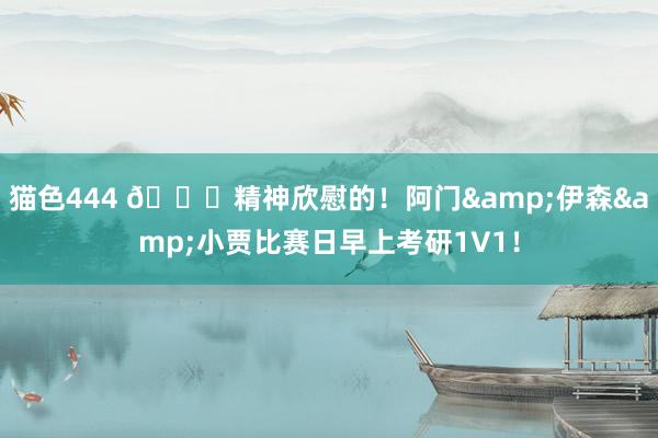 猫色444 🐅精神欣慰的！阿门&伊森&小贾比赛日早上考研1V1！