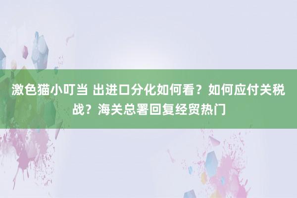 激色猫小叮当 出进口分化如何看？如何应付关税战？海关总署回复经贸热门