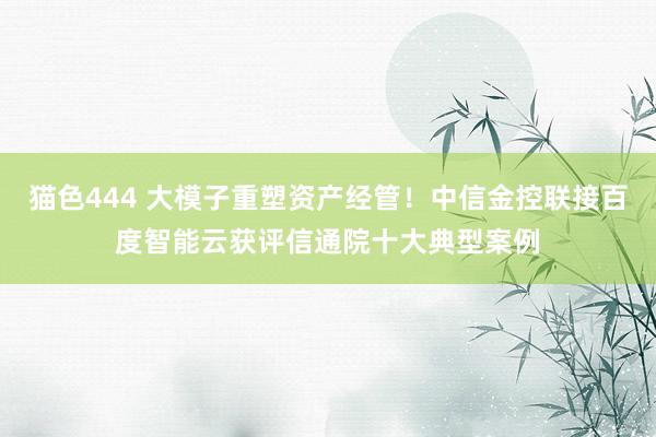 猫色444 大模子重塑资产经管！中信金控联接百度智能云获评信通院十大典型案例