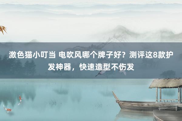 激色猫小叮当 电吹风哪个牌子好？测评这8款护发神器，快速造型不伤发