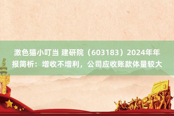 激色猫小叮当 建研院（603183）2024年年报简析：增收不增利，公司应收账款体量较大