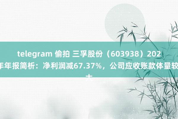 telegram 偷拍 三孚股份（603938）2024年年报简析：净利润减67.37%，公司应收账款体量较大