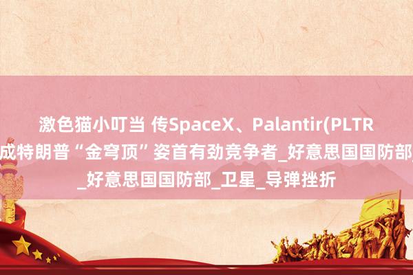 激色猫小叮当 传SpaceX、Palantir(PLTR.US)和Anduril成特朗普“金穹顶”姿首有劲竞争者_好意思国国防部_卫星_导弹挫折