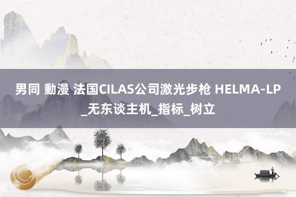 男同 動漫 法国CILAS公司激光步枪 HELMA-LP_无东谈主机_指标_树立