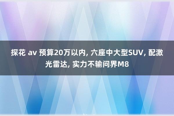 探花 av 预算20万以内， 六座中大型SUV， 配激光雷达， 实力不输问界M8