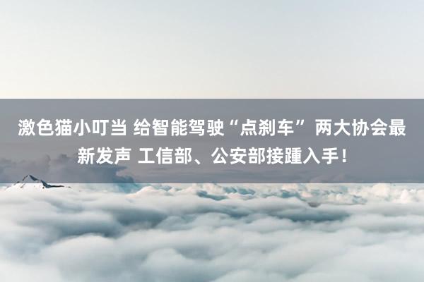 激色猫小叮当 给智能驾驶“点刹车” 两大协会最新发声 工信部、公安部接踵入手！